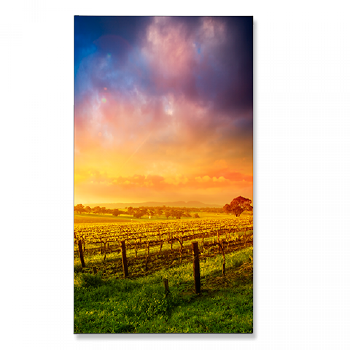 Nec 46 Commercial Display Panel Commercial Displays Categories