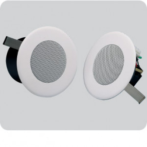 PENTON RCS4/T 4 Watt 80mm Driver With Transformer